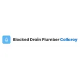 Blocked Drain Plumber Collaroy