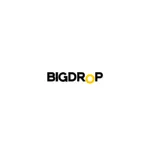 Bіg Drоp Wеb Desіgn and Brаnding Agencу