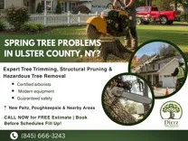 New Paltz tree Service