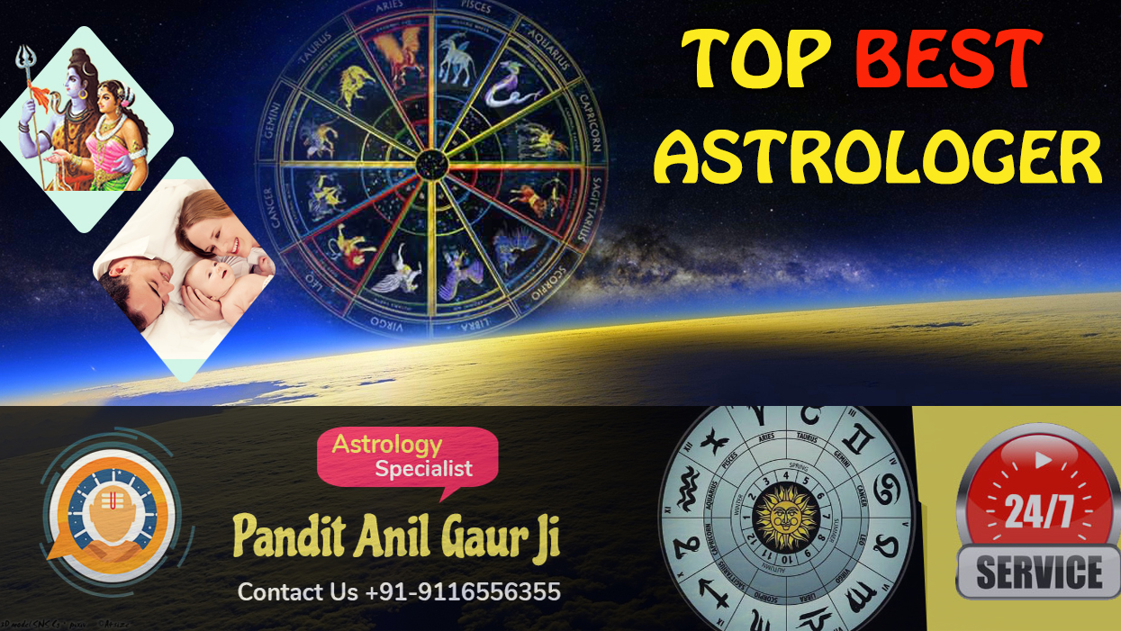 Top Best Astrologer