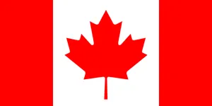 BiZiDEX Canada - Online Advertising Services